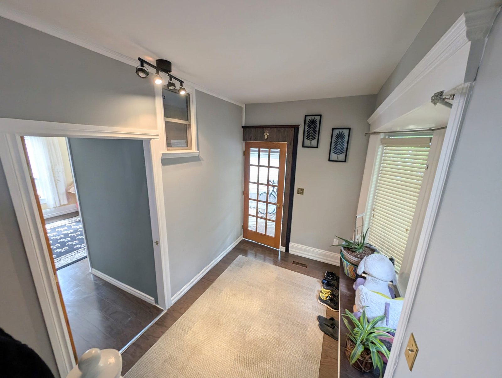 Basement unit at 55 Grant Street Chatham