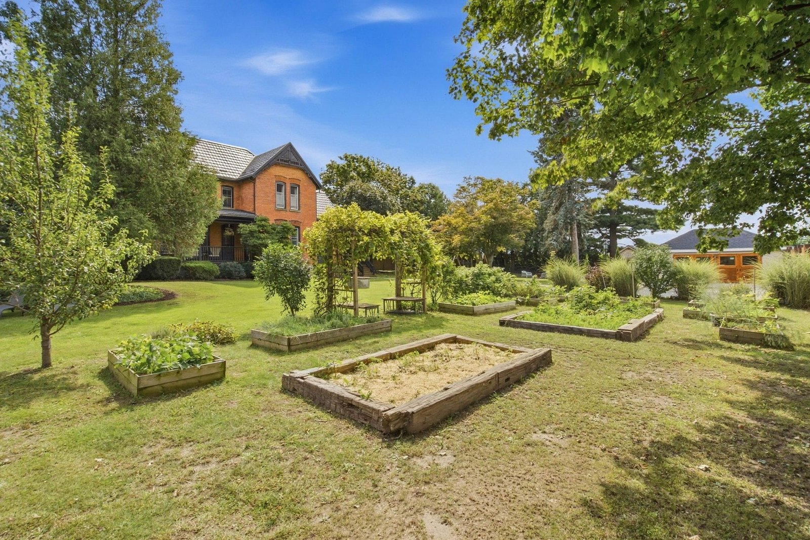 Raised garden beds and pergola in the backyard