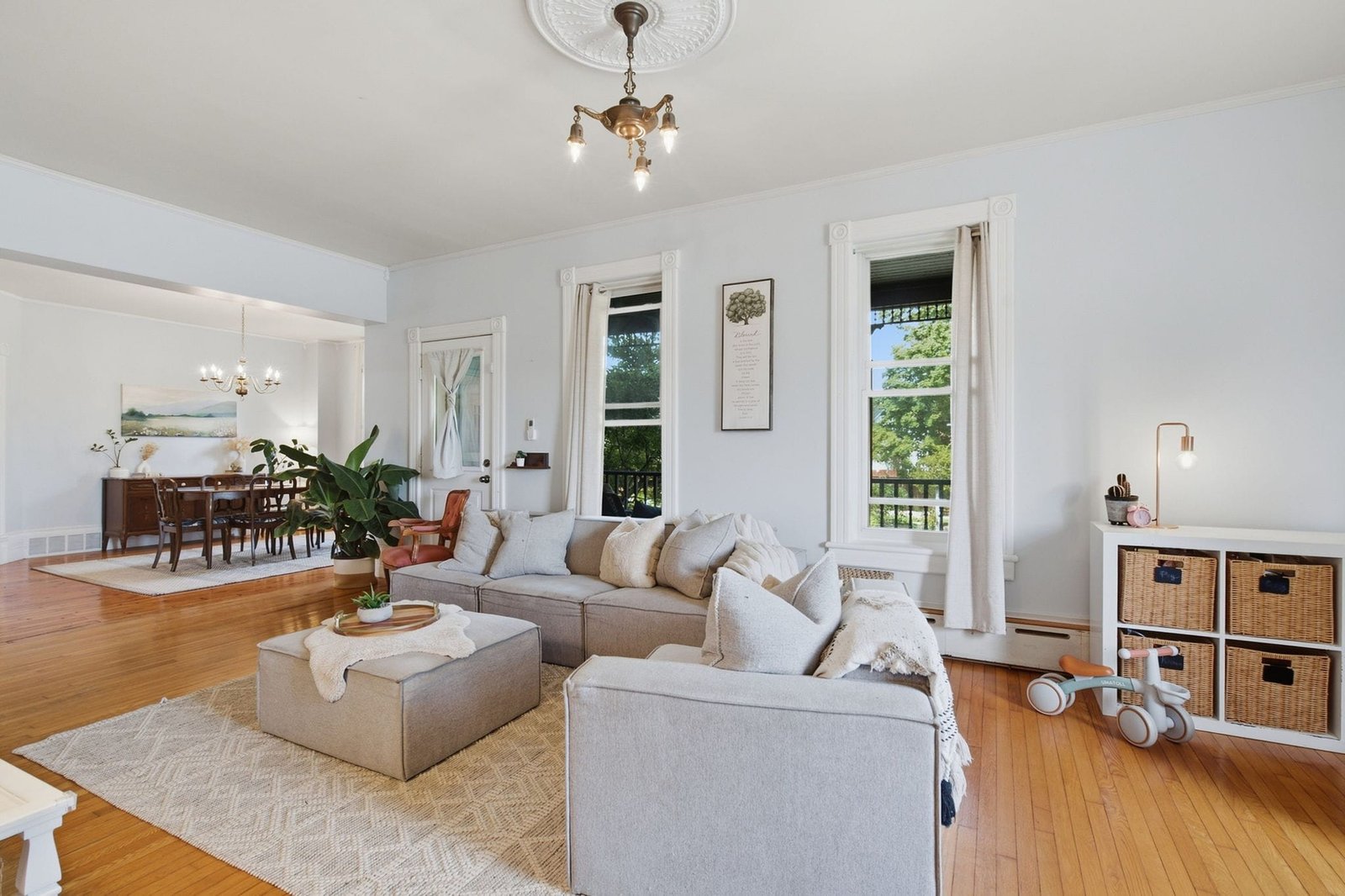 Living room with tall windows and hardwood floors